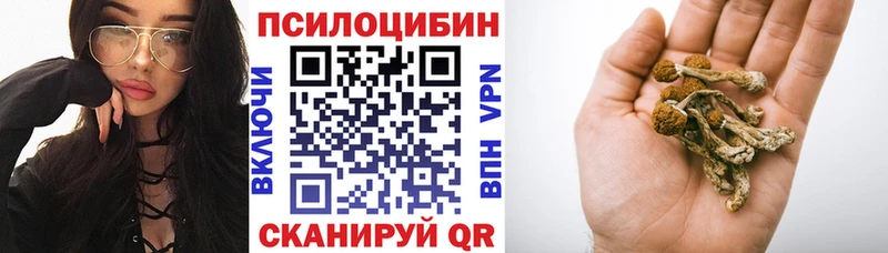 Галлюциногенные грибы Psilocybe Тайшет