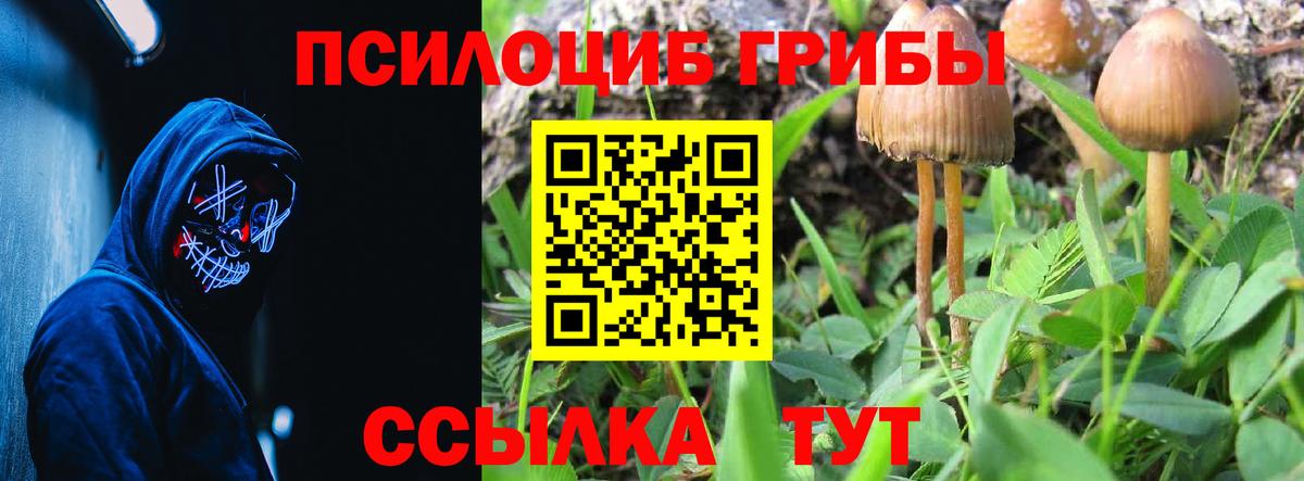 Псилоцибиновые грибы MAGIC MUSHROOMS Тайшет
