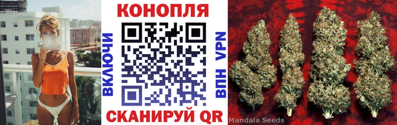Шишки марихуана планчик  Тайшет 